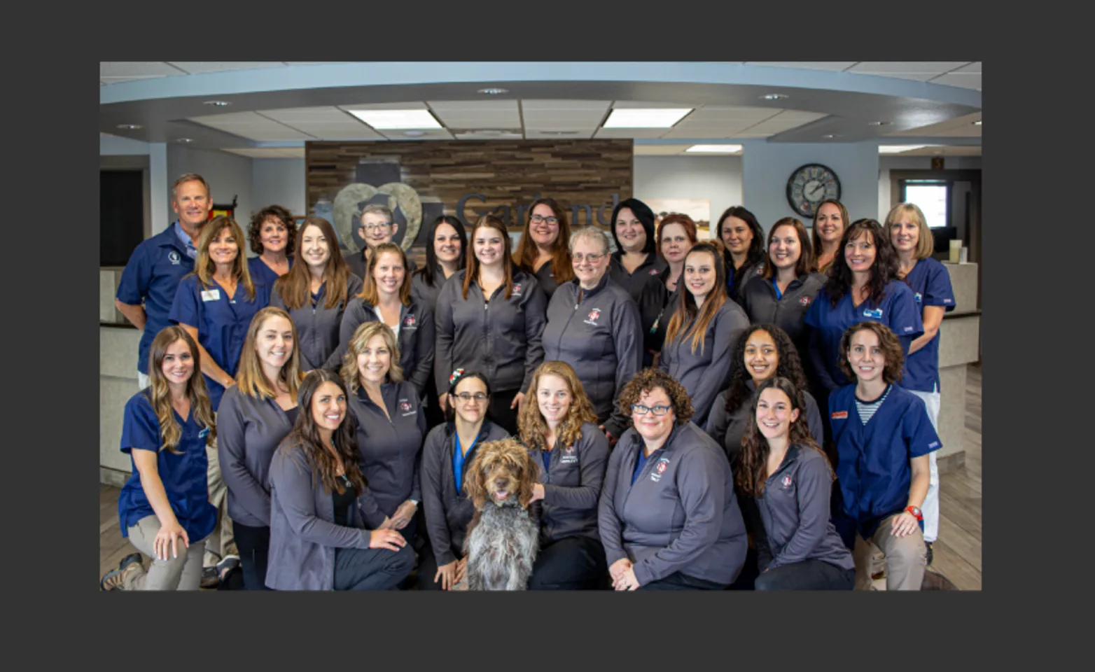 Garland Animal Clinic's staff, group photo.